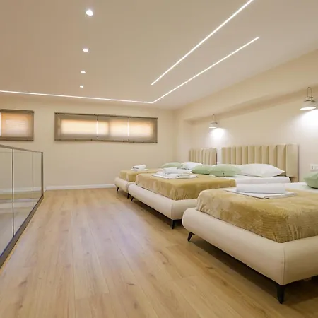 Luxe Arial Lofts