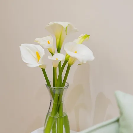 Appartement Luxe Arial Lofts