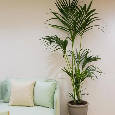 Luxe Arial Lofts Appartement Vlorë