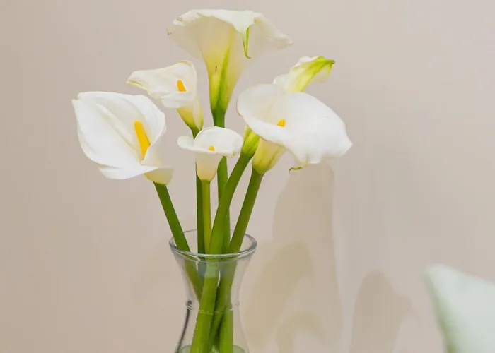 Appartamento Luxe Arial Lofts